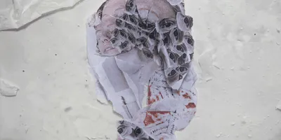 Nicolas Ruann - Hanonymal