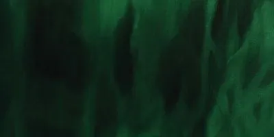 Adélaïde Gaudéchoux - Aokigahara