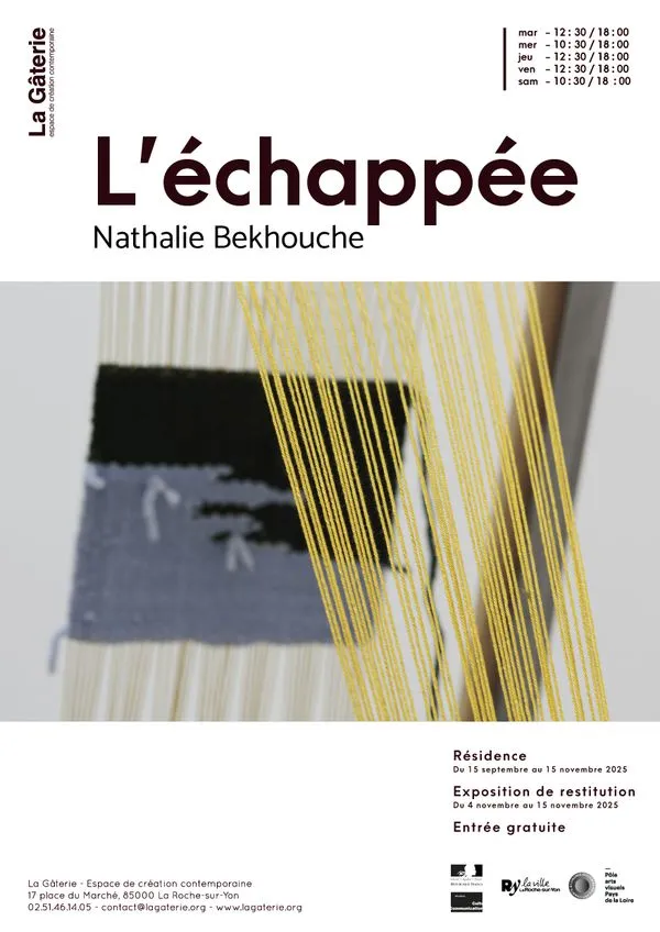 Vue complémentaire - L'ÉCHAPPÉE, NATHALIE BEKHOUCHE